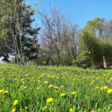 Chambre soignée et accueillante à la campagne - Ch. Jaune L'Honor-de-Cos Esterno foto