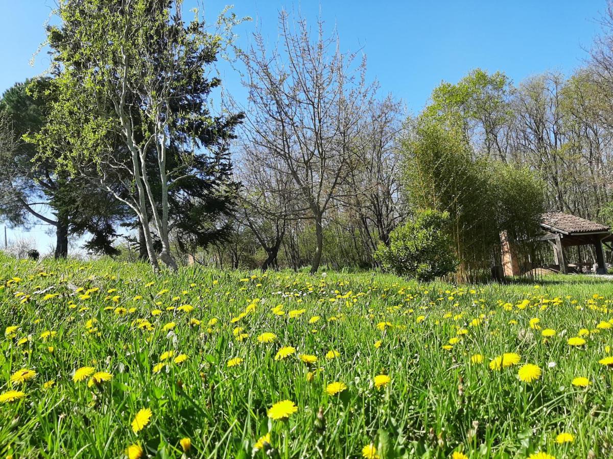 Chambre soignée et accueillante à la campagne - Ch. Jaune L'Honor-de-Cos Esterno foto